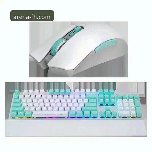 FH体育正版App下载安装实用指南：全面解析平台功能与使用技巧